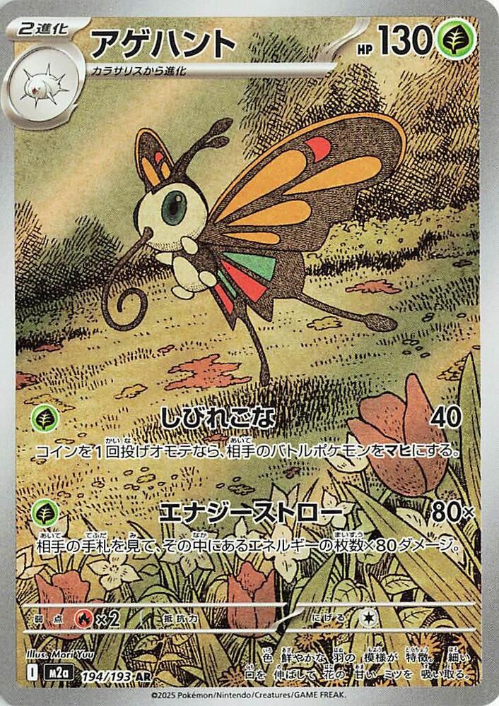 Beautifly - 194/193