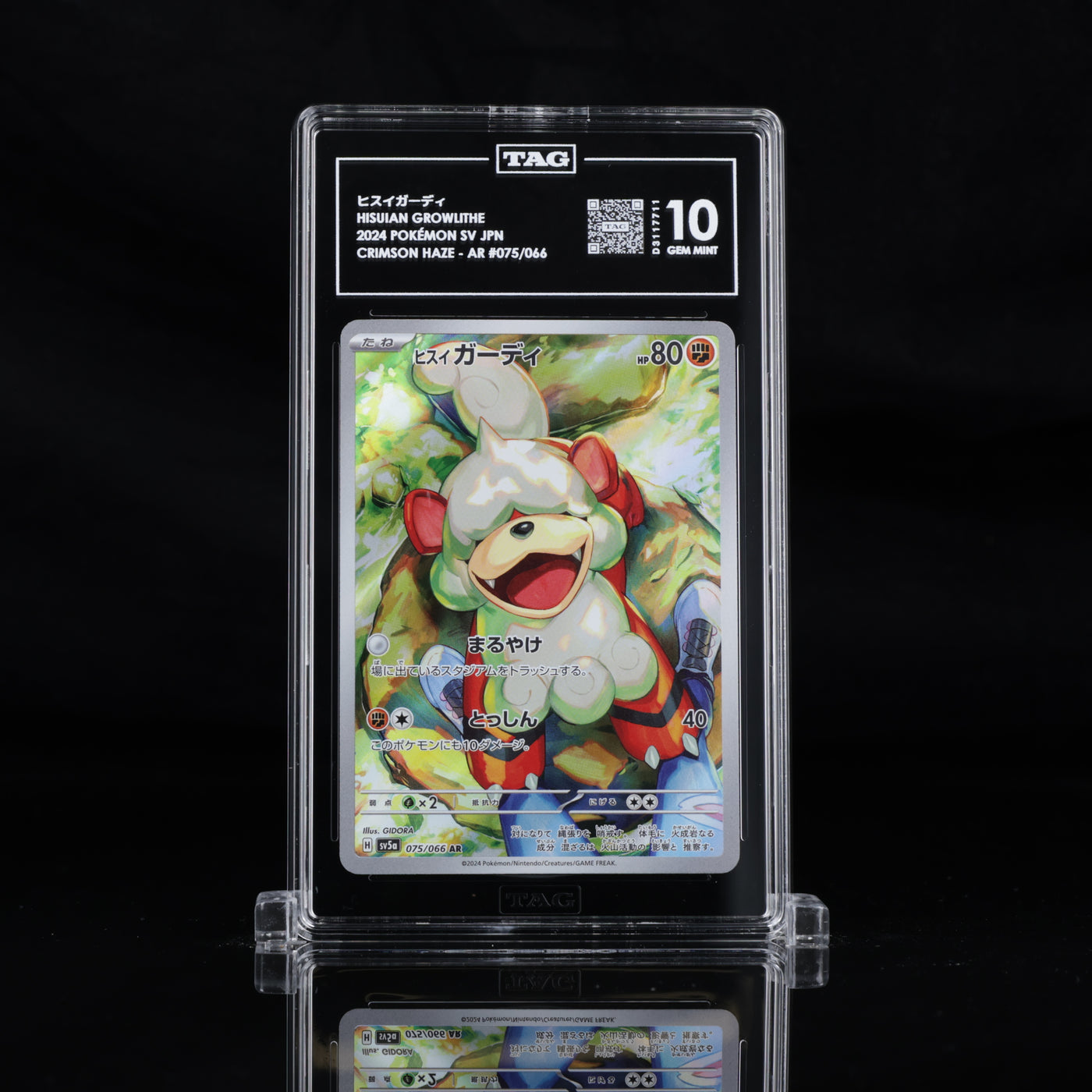 TAG 10 2024 POKÉMON SCARLET & VIOLET JAPANESE #075/066 CRIMSON HAZE HISUIAN GROWLITHE - PSA