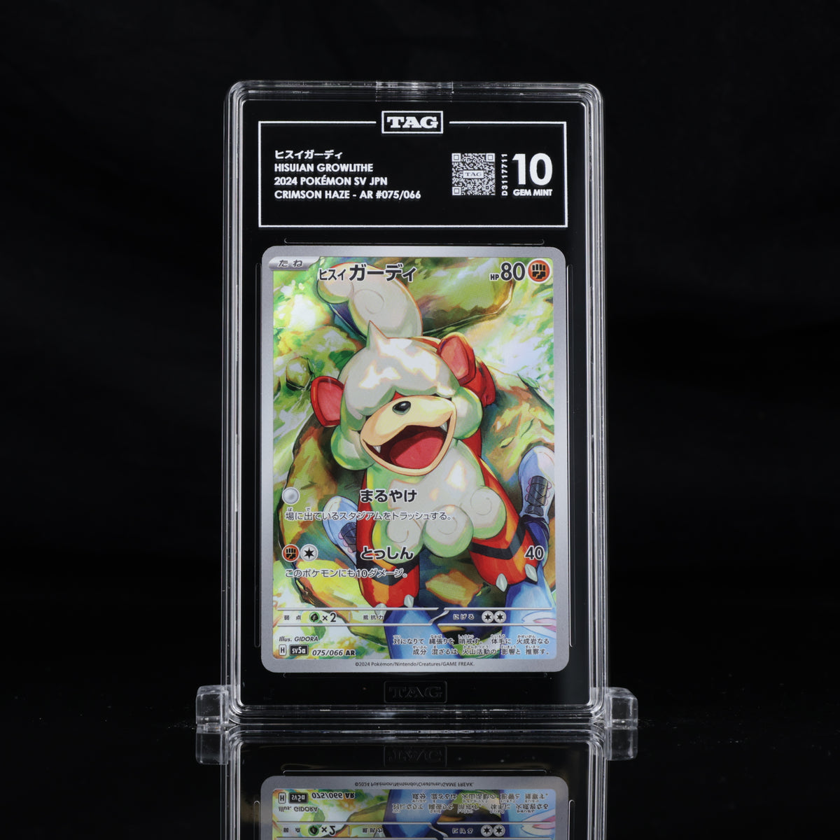 TAG 10 2024 POKÉMON SCARLET & VIOLET JAPANESE #075/066 CRIMSON HAZE HISUIAN GROWLITHE - PSA